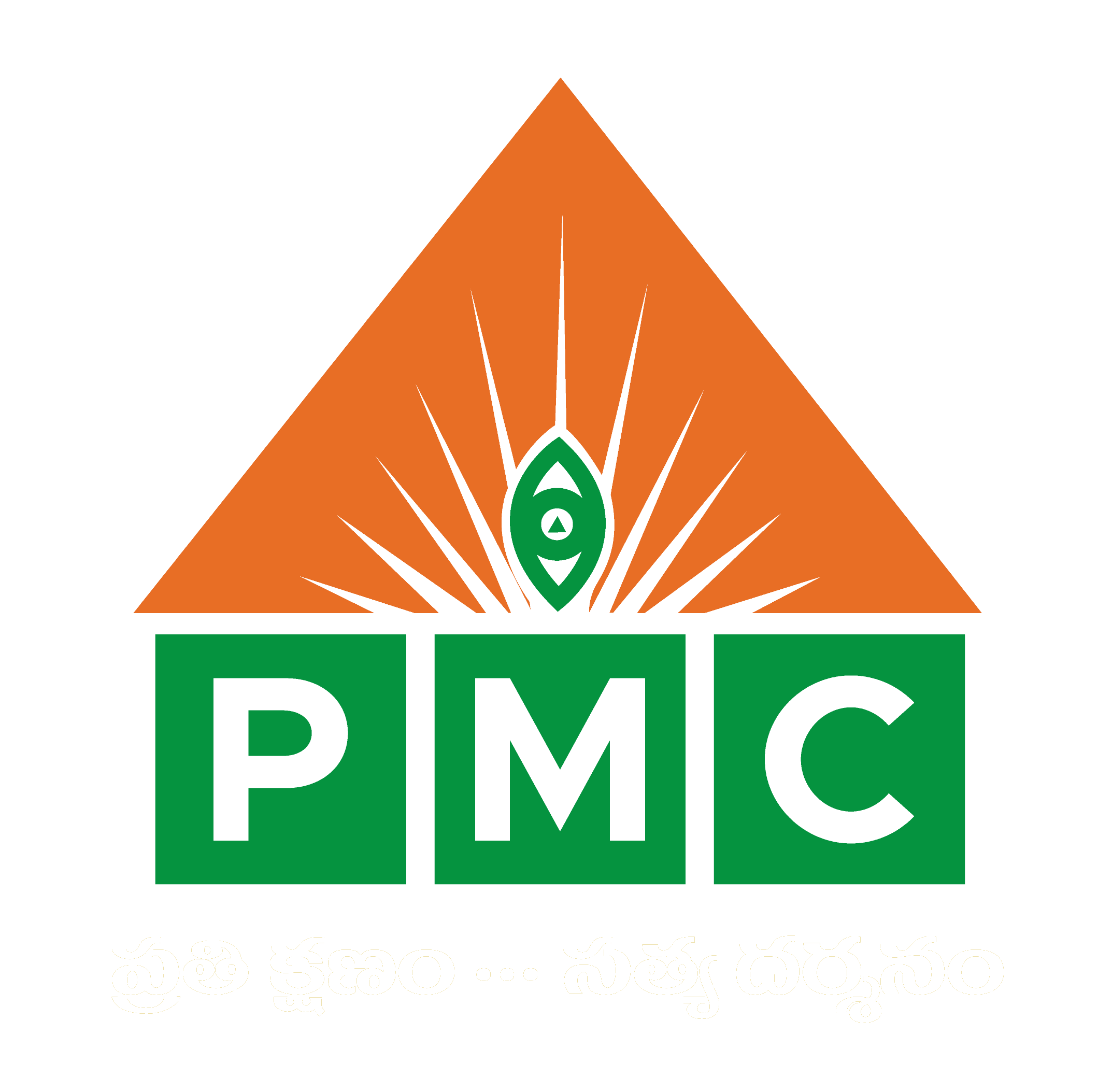 PMC Channel Logo
